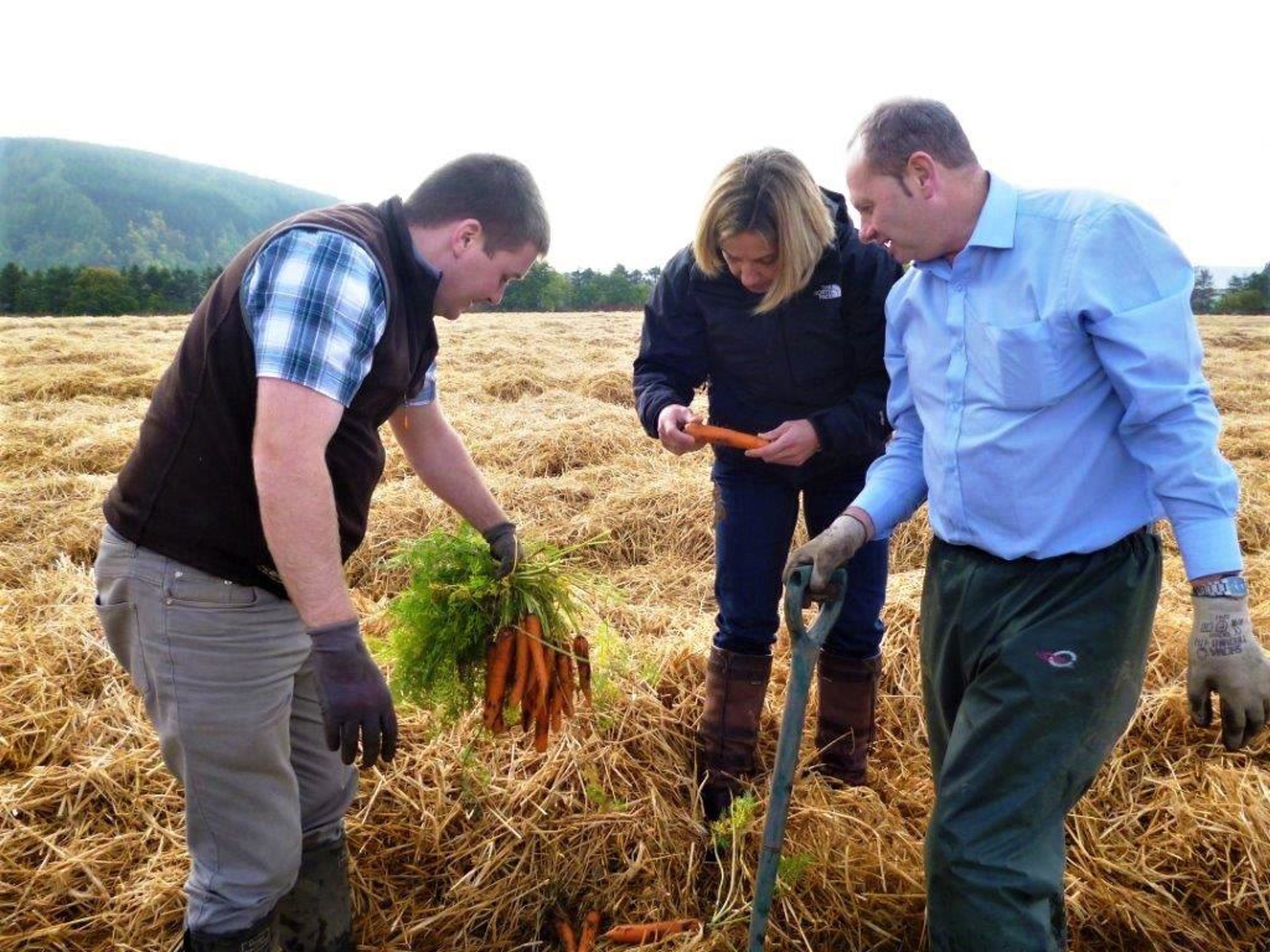 Background image - Teamwork