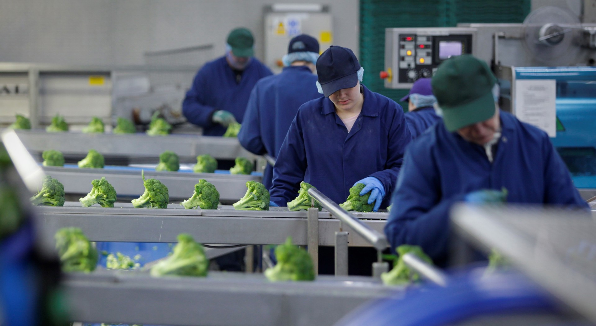 Background image - MG 2537 Cropped