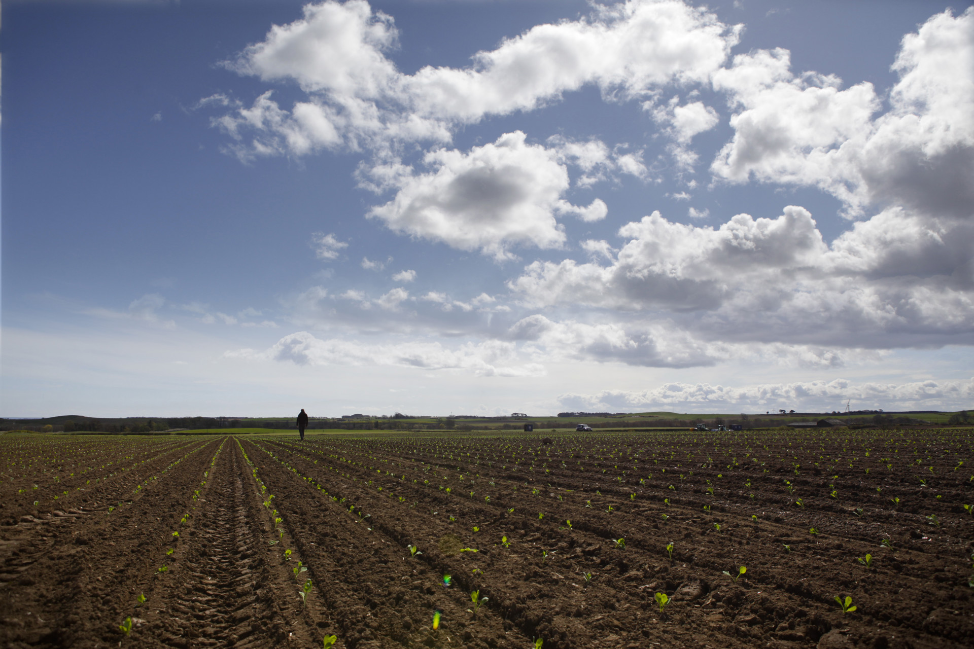 Background image - Our History