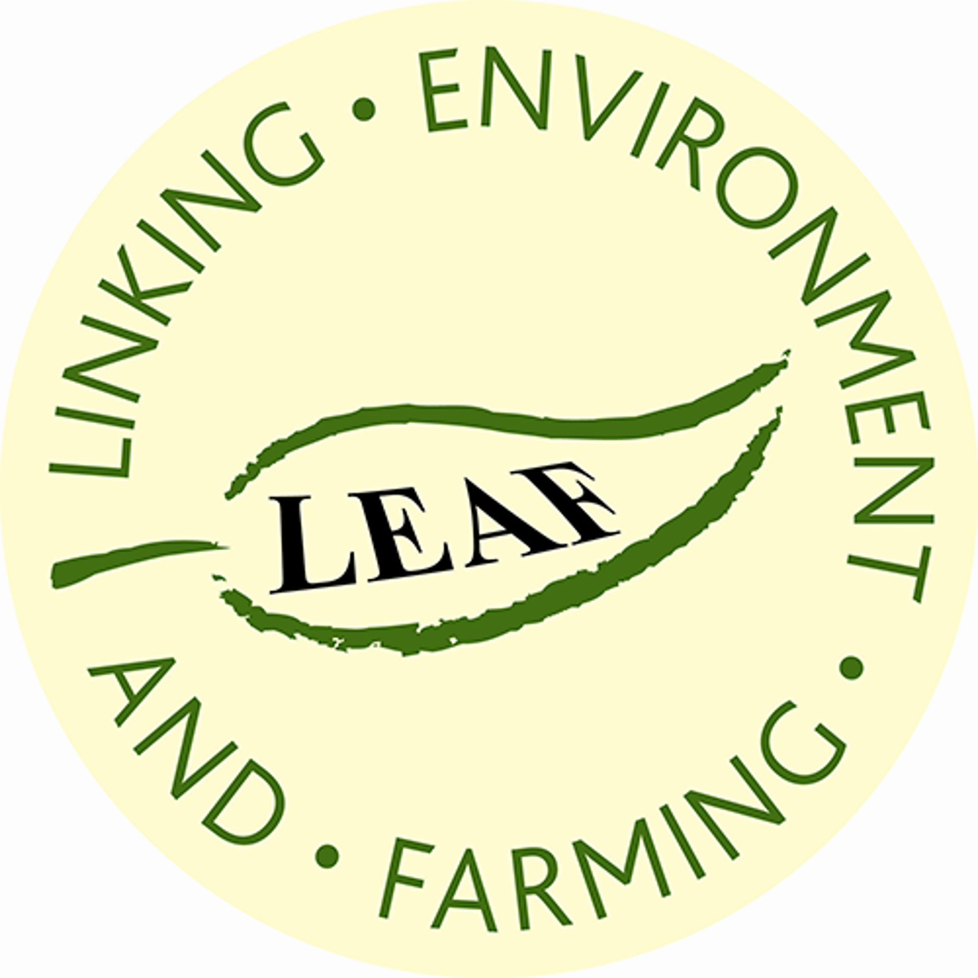 Leaf Marque