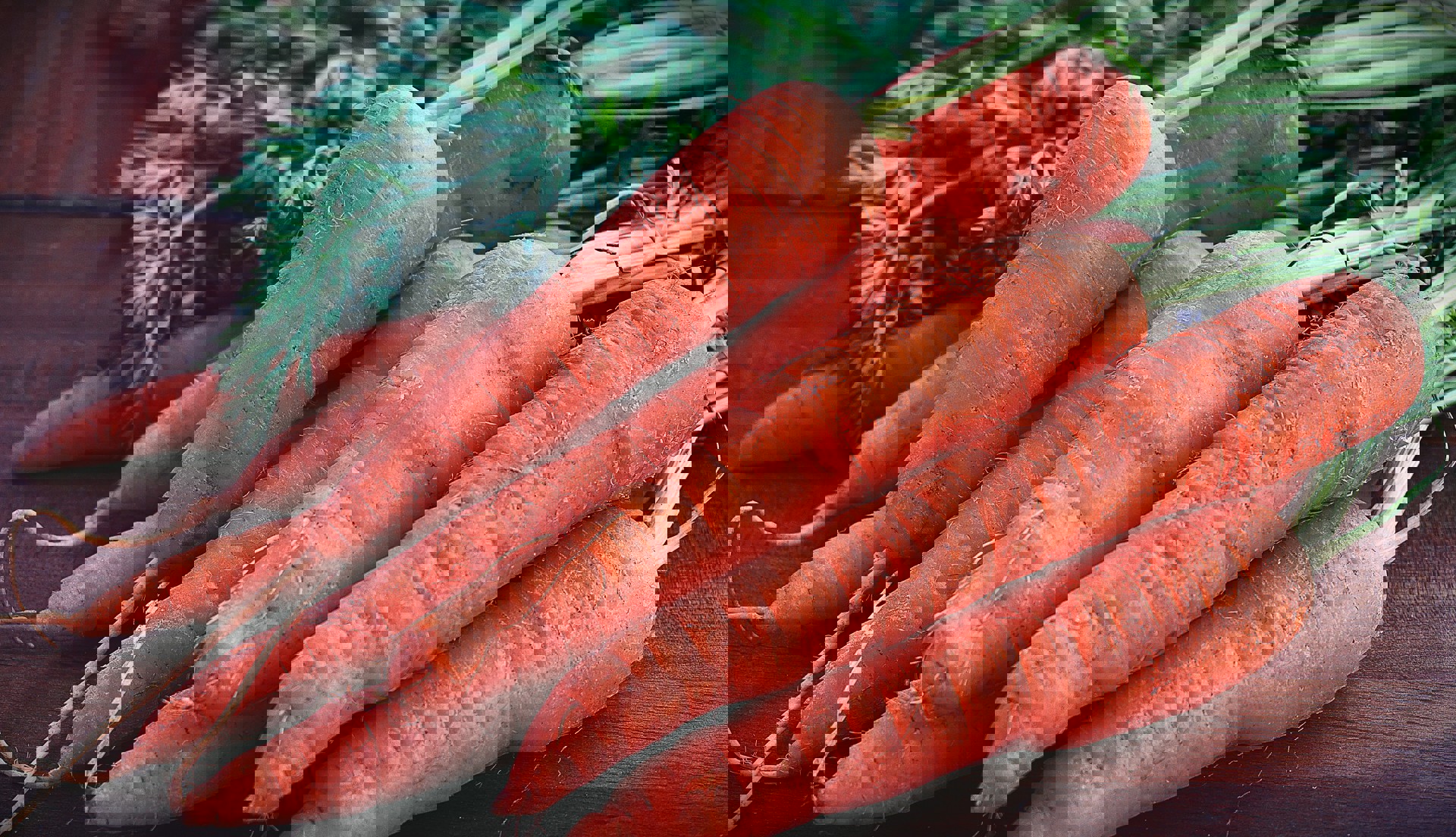 Pexels Suzy Hazelwood 1306559