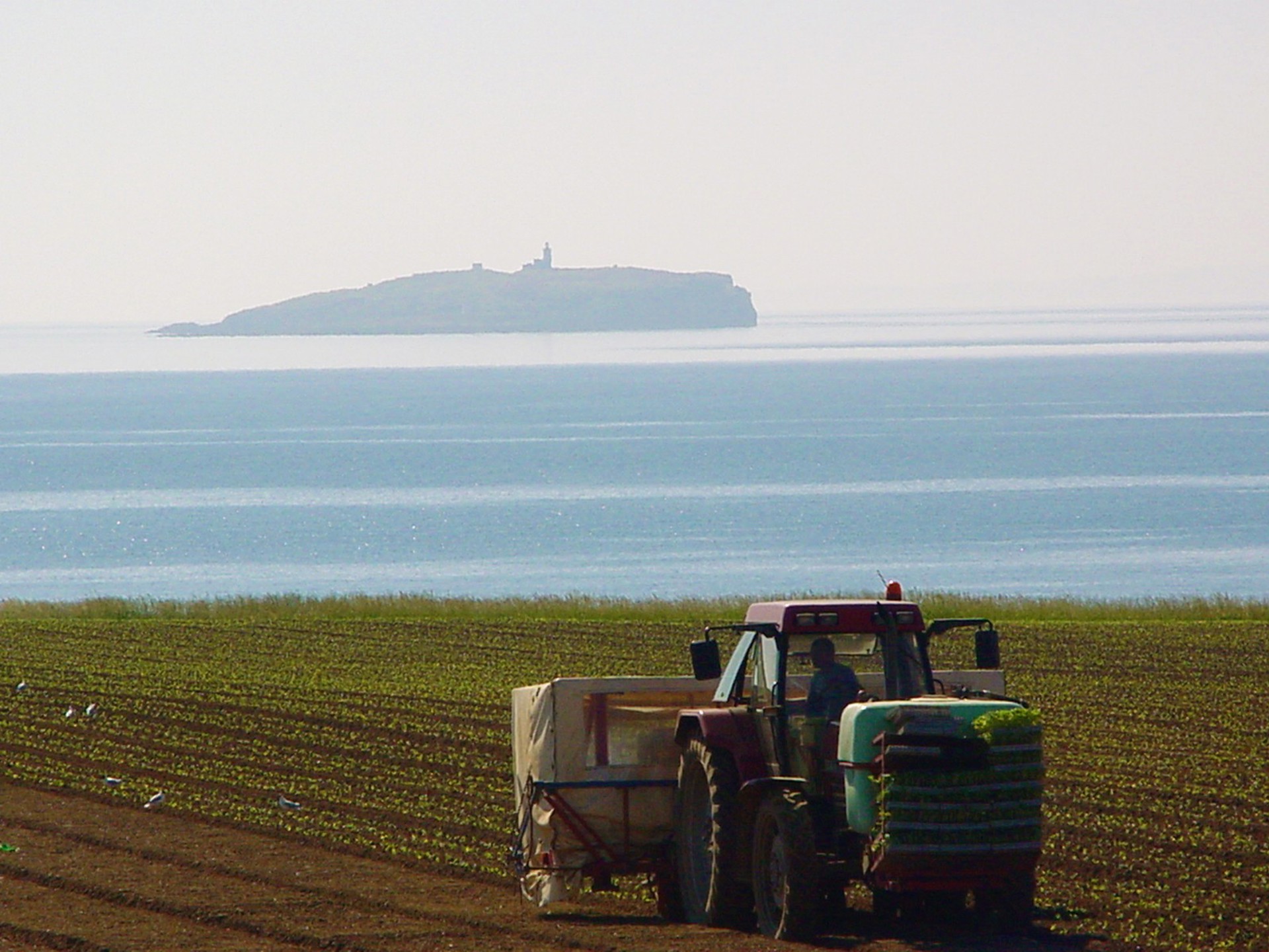 Tractor Fieldenhanced